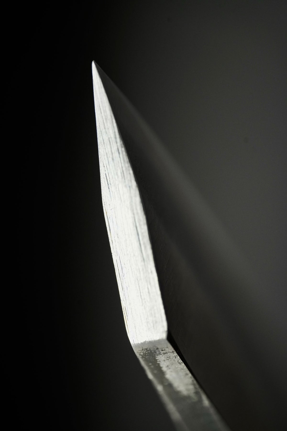 Nagao - Japanese Folding Knife - Higonokami - Tiger in the Woods - Black