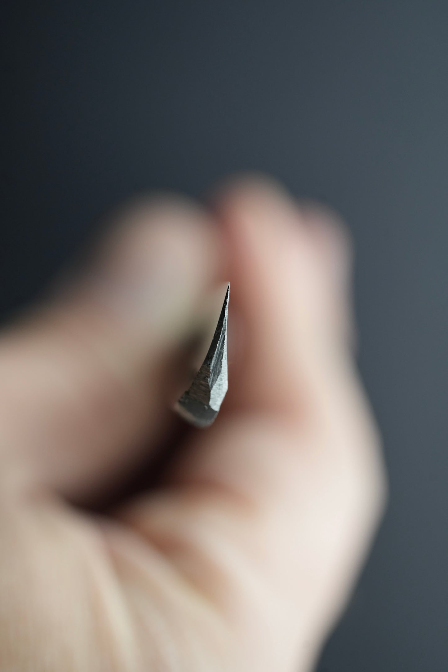 Shigesada・重定・ Kamisori