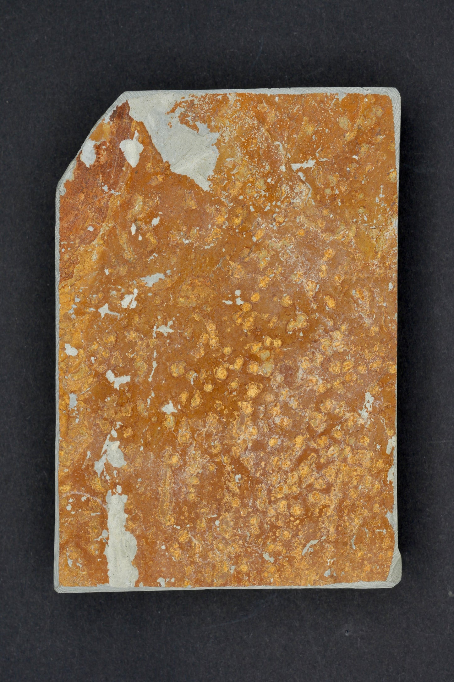 Pierre à aiguiser naturelle Yaginoshima ・Aito・ Awasedo・ Kyoto, Japon #2