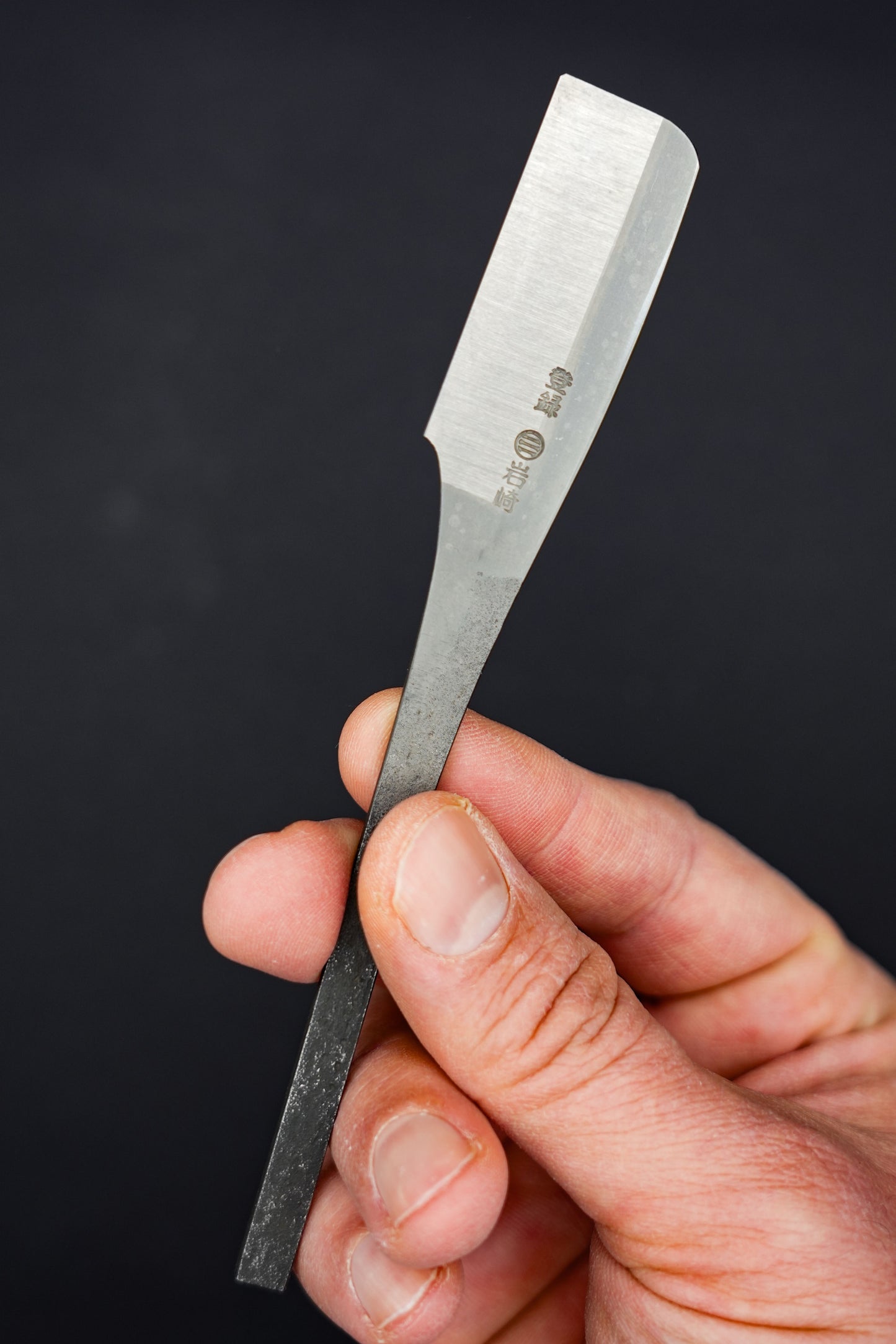 Iwasaki・岩﨑・Kamisori