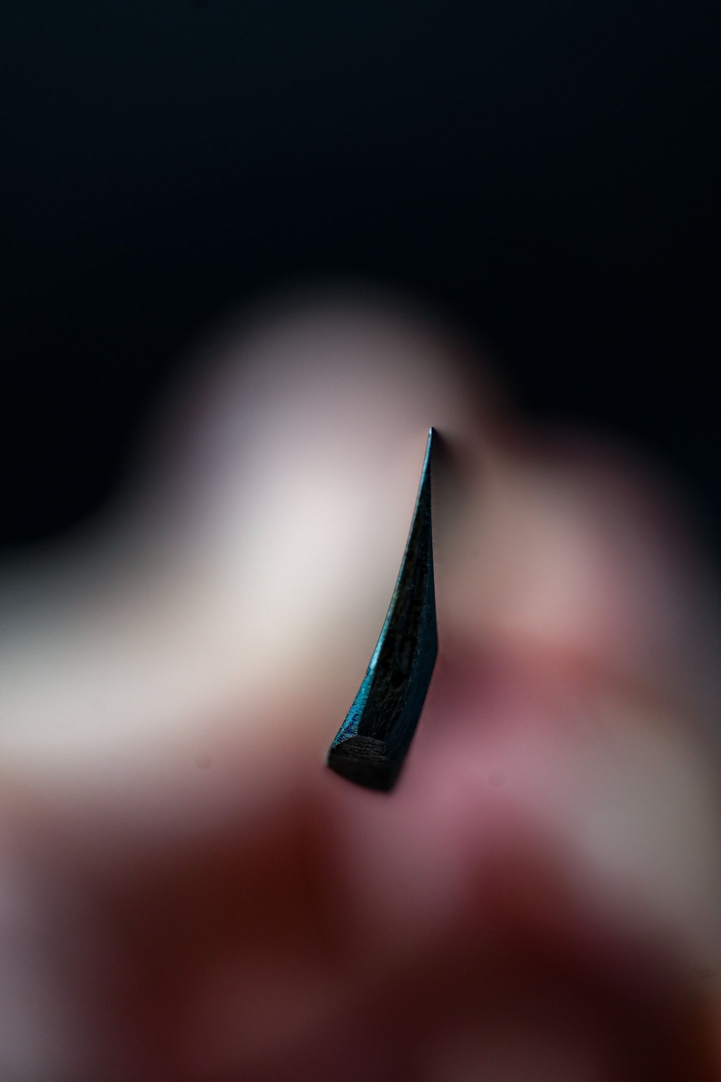 Hoshitennnin・ホシテンニン・Kamisori