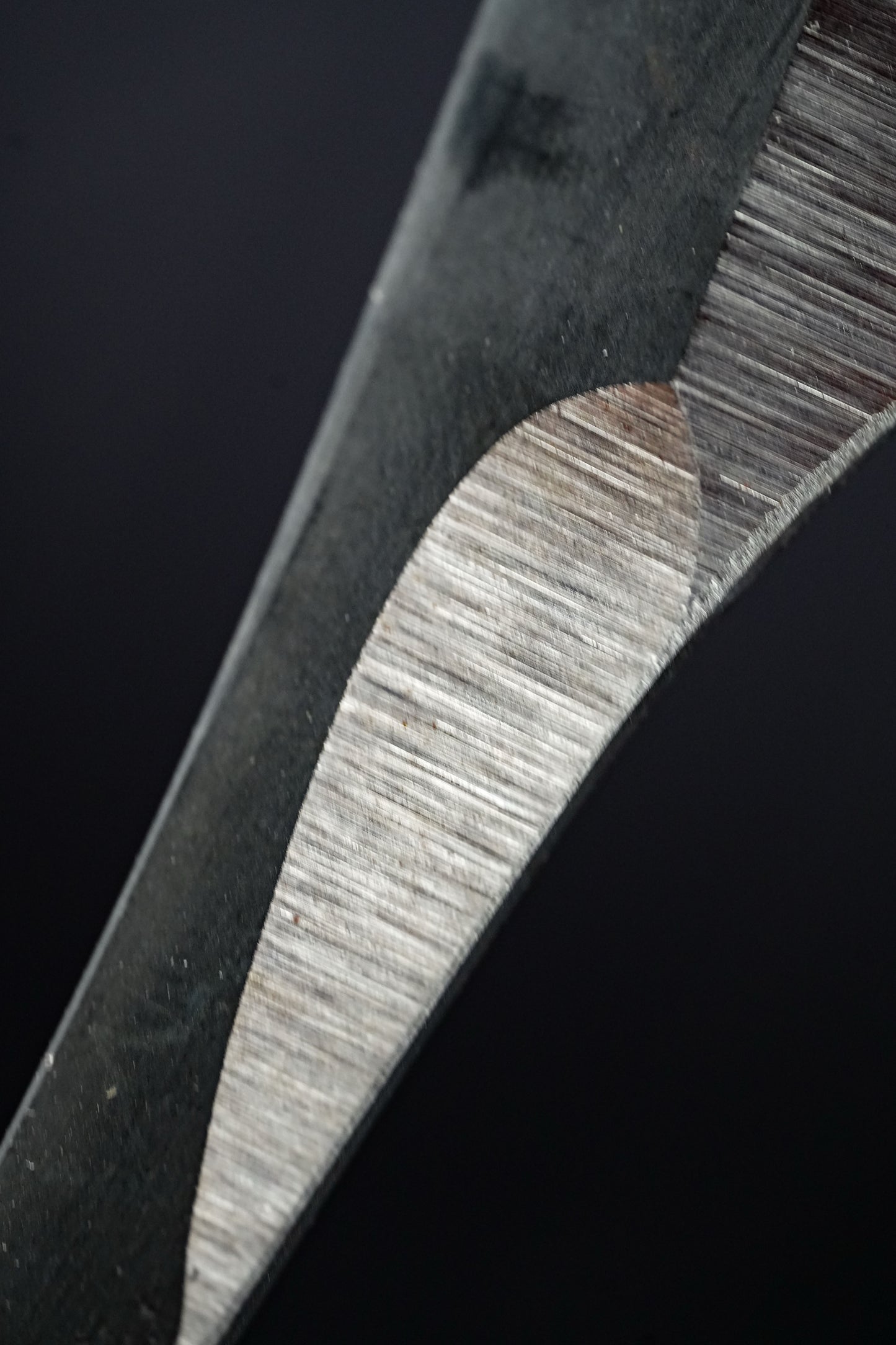 Iwasaki・岩﨑・Kamisori