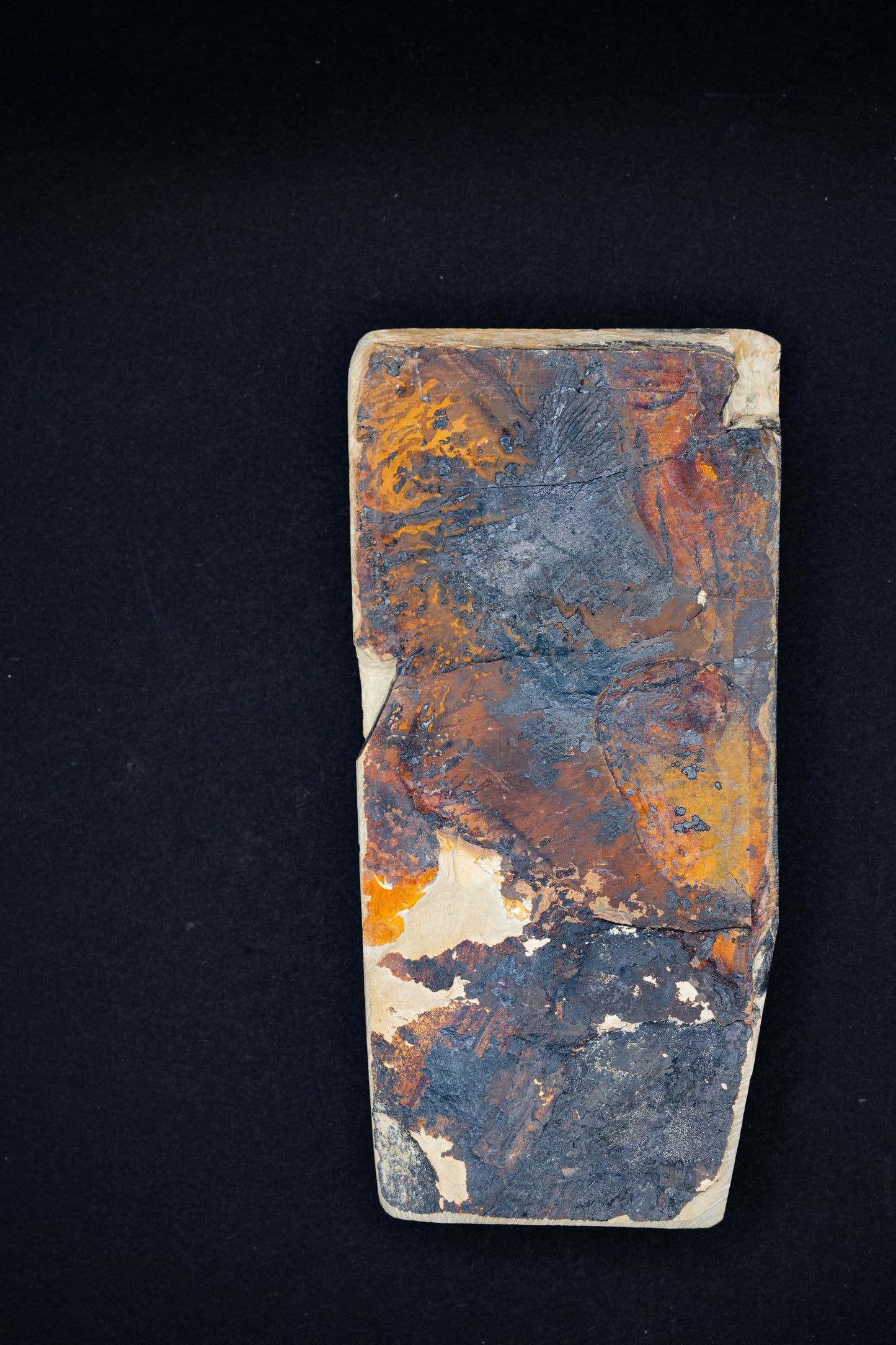 Nakayama Tomae・Natural Finishing Stone・Awasedo・Kyoto, Japan #43