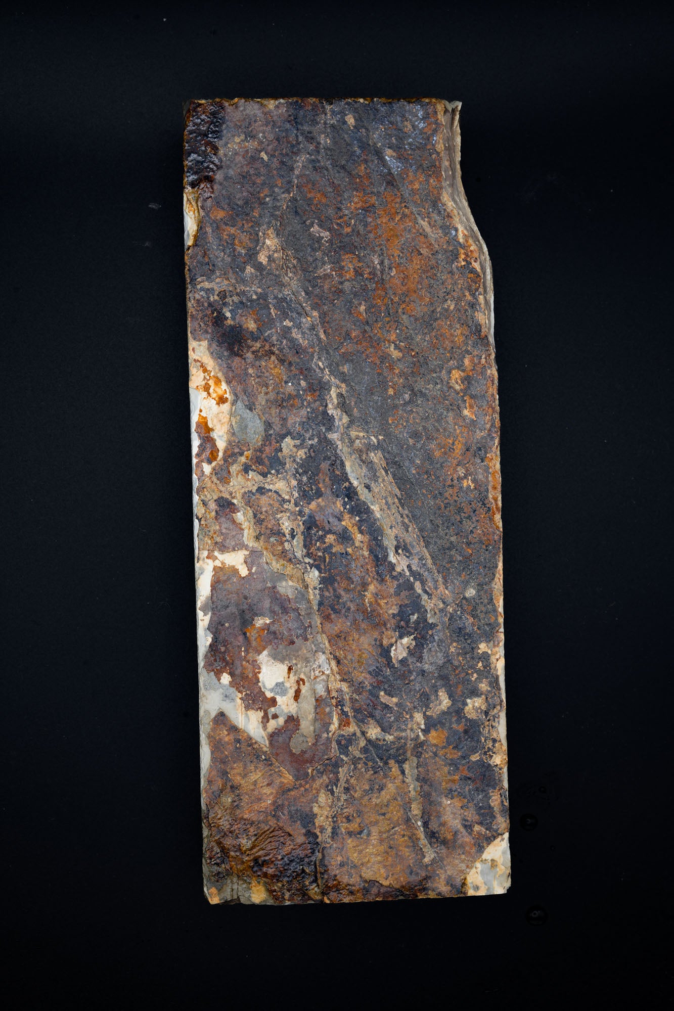 Shohonyama Karasu・Natural Finishing Stone・Awasedo・Kyoto, Japan #50