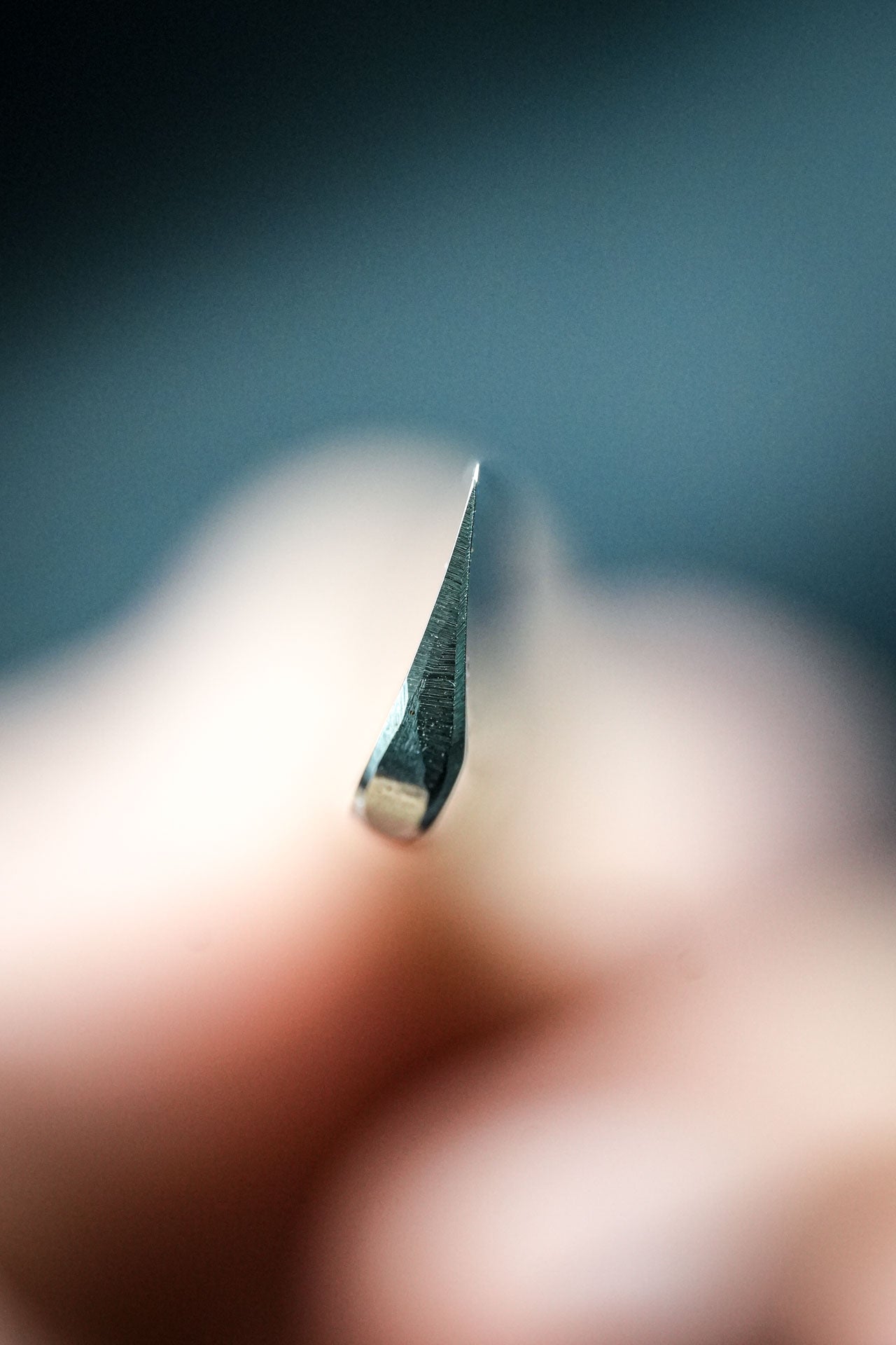 Inoue Tosuke・井上藤助・Kamisori