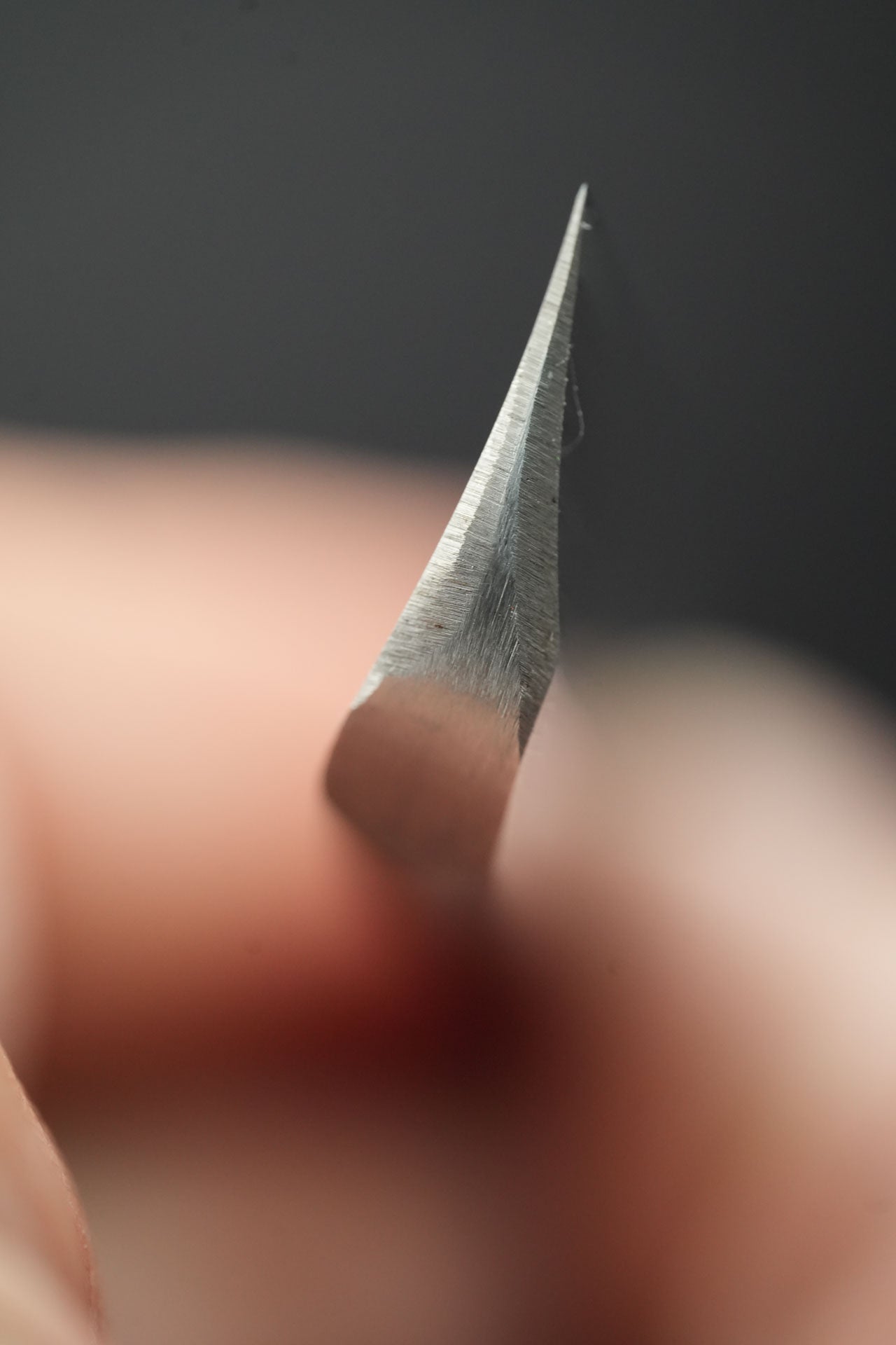 Zubora・ずぼら・Kamisori